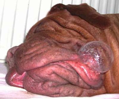 Ben alors gros .....