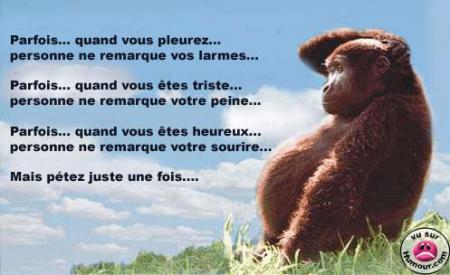 Essaie pour voir !