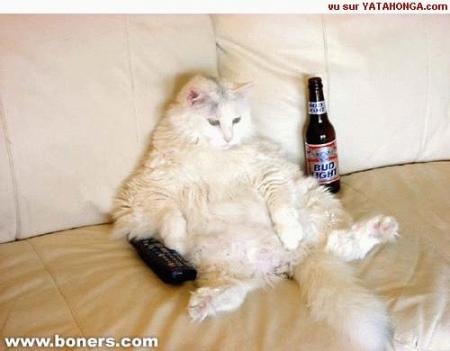 Tranquillou bilou bilou !!!